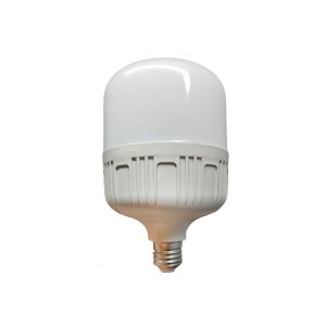 25W CAPSULE BULB ECO