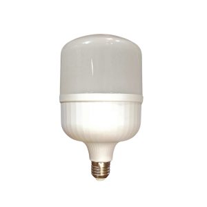 50W CAPSULE BULB ECO